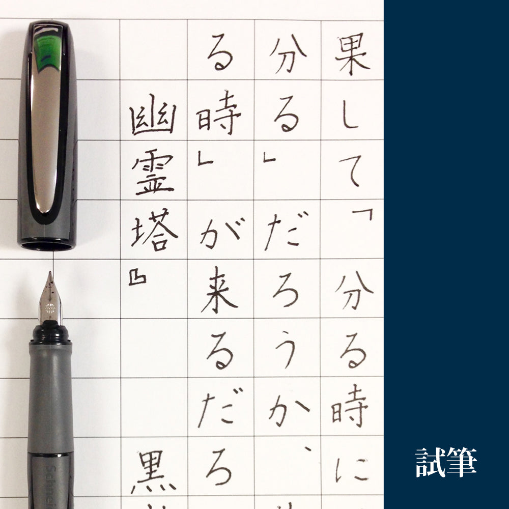 シュナイダー Schneider 万年筆 F 細字 レイ Ray 8色展開 カートリッジ コンバーター両用式