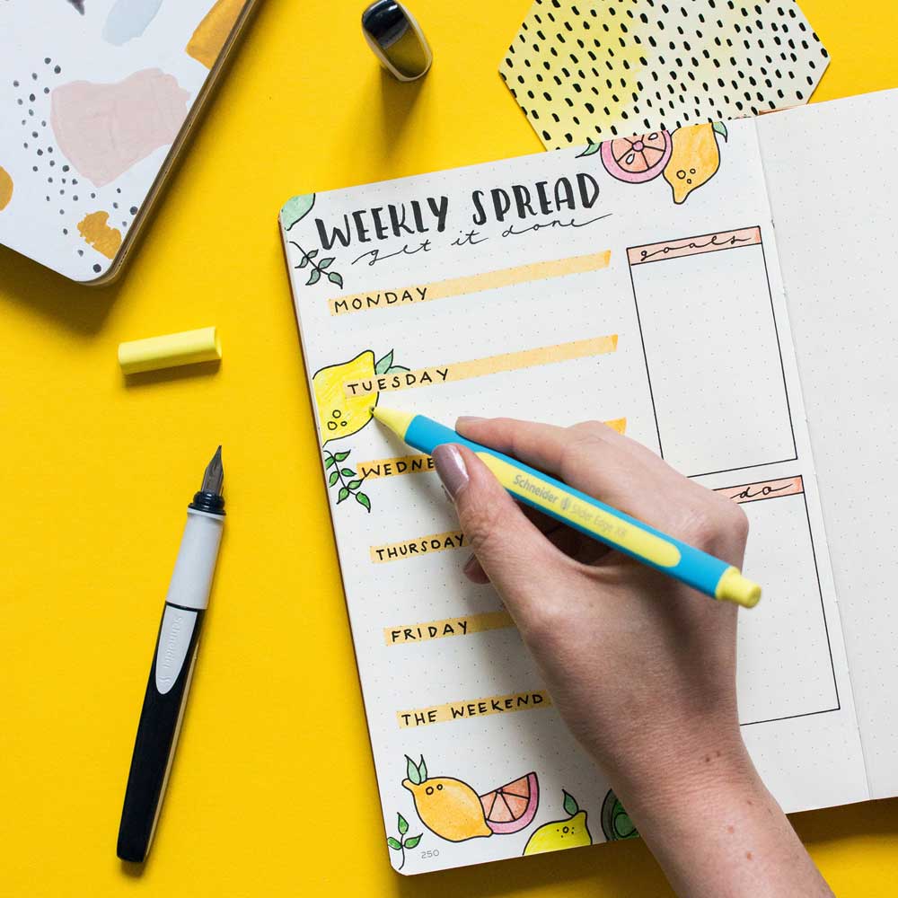 シュナイダー Schneider ローラーボールペン M 中字 レイ Ray 5色展開